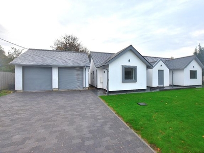 Detached bungalow to rent in Bran End, Stebbing, Dunmow CM6