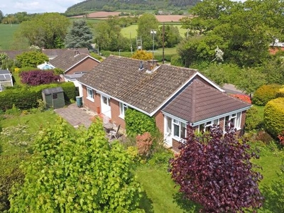 Detached bungalow to rent in Harcombe Lane East, Sidford, Sidmouth EX10