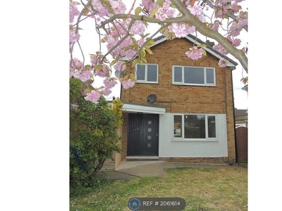 Detached house to rent in Glastonbury Close, Mansfield Woodhouse, Mansfield NG19