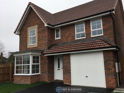 Detached house to rent in Rovers Way, Doncaster DN4