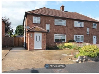 Semi-detached house to rent in Reaper Road, Colchester CO3