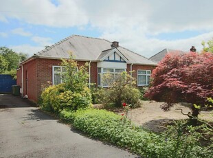 3 bedroom detached bungalow for sale in Bassett, Southampton, SO16