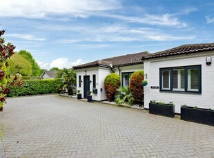 Bungalow to rent in Forest Lane, East Horsley, Leatherhead, Surrey KT24