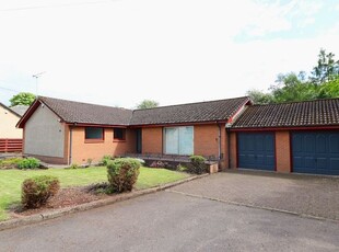 Detached bungalow to rent in Burnside Road, Bathgate EH48