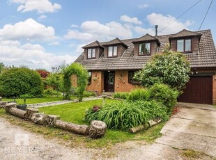 Detached house for sale in Lane End, Bere Regis BH20