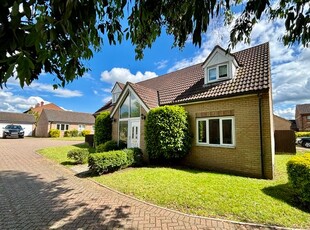 Detached house to rent in Bell Trees, Lakenheath, Brandon IP27