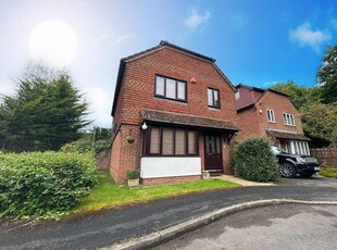 Detached house to rent in Hepplewhite Drive, Basingstoke RG22