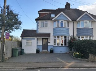 Semi-detached house to rent in Prospect Road, St Albans AL1