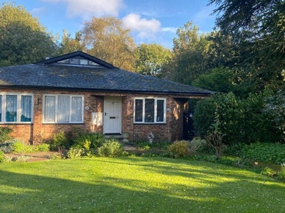 1 Bedroom Bungalow For Rent In Witham, Essex
