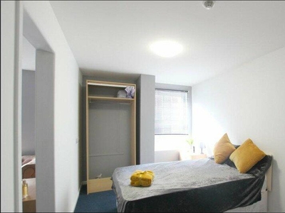 8 bedroom flat for rent in 17 Mealcheapen Street, Floor 2, WR1
