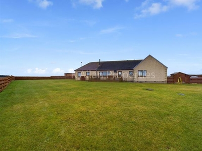 Detached bungalow for sale in Kestrel View Lyth, By Wick, Caithness KW1