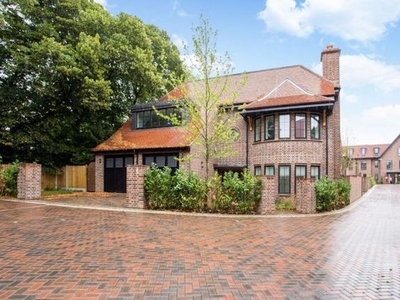 Detached house to rent in Chandos Way, Hampstead Garden Suburb NW11