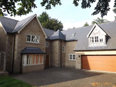 Detached house to rent in Crow Hill Rise, Mansfield, Nottinghamshire NG19