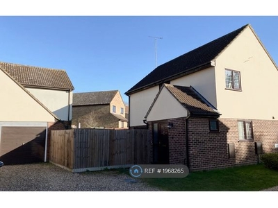 Detached house to rent in Hayward Court, Colchester CO1