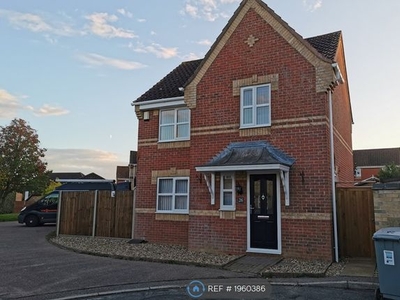 Detached house to rent in Newcastle Close, Norwich NR7