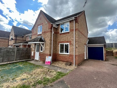 Detached house to rent in Primrose Drive, Brandon IP27