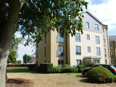 Flat to rent in Pearce Court, Colchester CO2