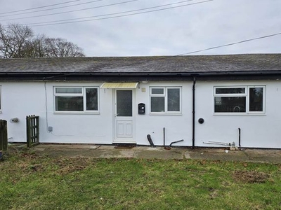Semi-detached bungalow to rent in Barley Road, Heydon, Royston SG8