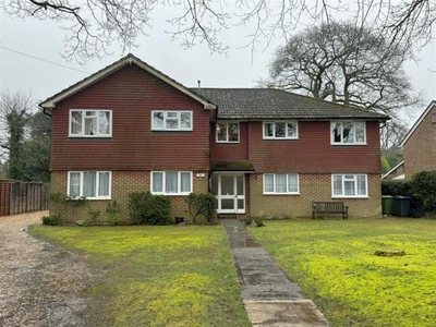 3 Bedroom Shared Living/roommate Grayshott Hampshire