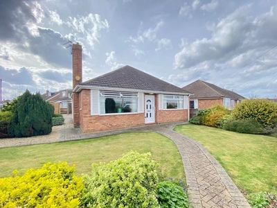 Bungalow to rent in Peregrine Road, Sprowston, Norwich NR7