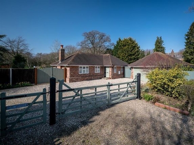 Detached bungalow for sale in Moor Road, Langham, Colchester CO4