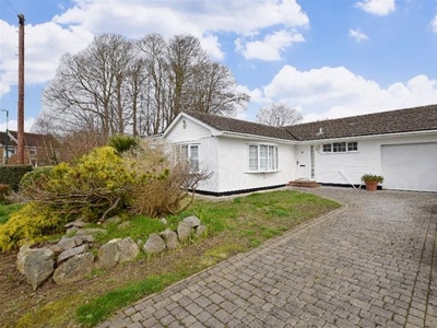 Detached bungalow to rent in 8 Alexander Close, Aldwick, Bognor Regis, West Sussex PO21