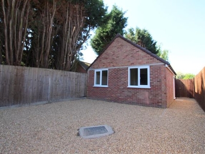 Detached bungalow to rent in Church Street, Holme PE7