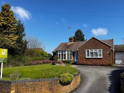 Detached bungalow to rent in Old Dover Road, Canterbury CT1