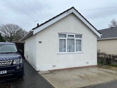 Detached bungalow to rent in Stanfield Road, Poole BH12