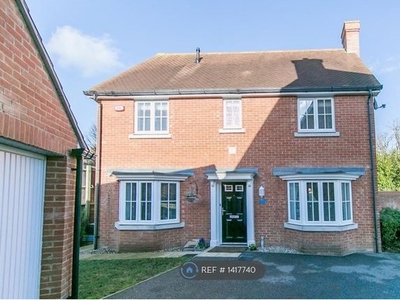 Detached house to rent in Gavin Way, Highwoods, Colchester CO4