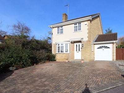 Detached house to rent in Saffron Close, Chineham, Basingstoke RG24