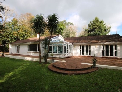 Detached bungalow for sale in Amnis De Russyn, Phildraw Road, Ballasalla IM9